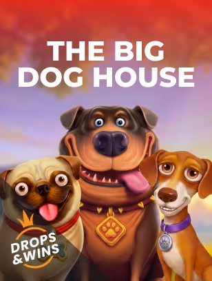 The Big Dog House